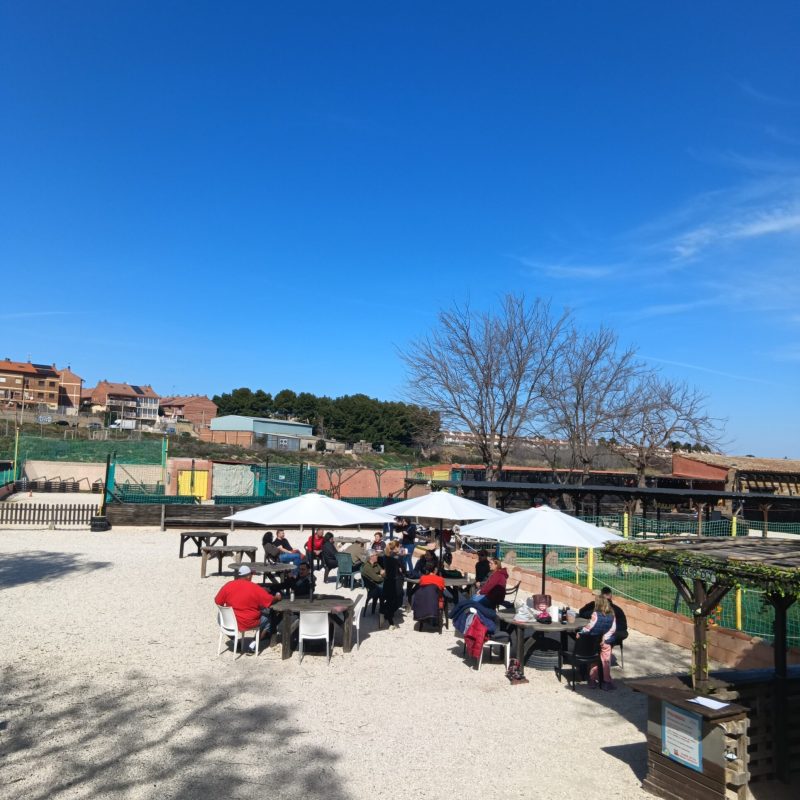 IMG_20260301_130137_1