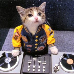 kitty-dj